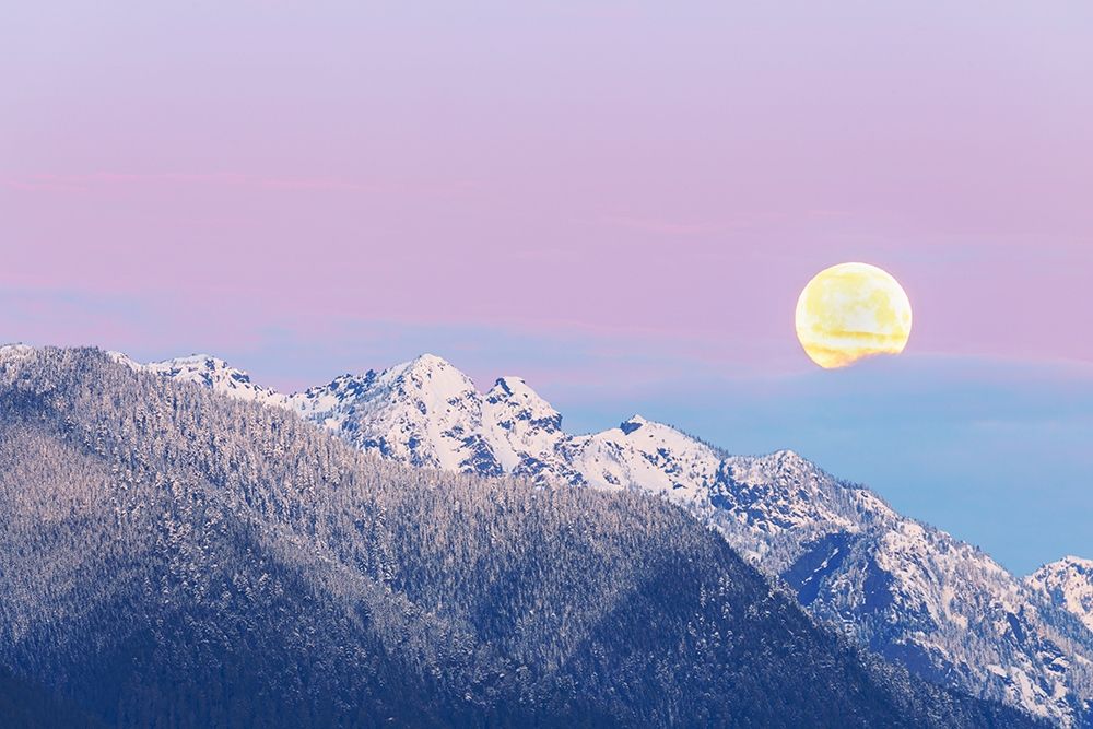 Washington State Moon setting over the Olympic Mountains at sunrise art print by Jaynes Gallery for $57.95 CAD
